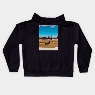 Alpaca Sunshine Kids Hoodie